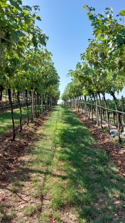 Azienda Agrituristica Corteforte Fumane Bagian luar foto