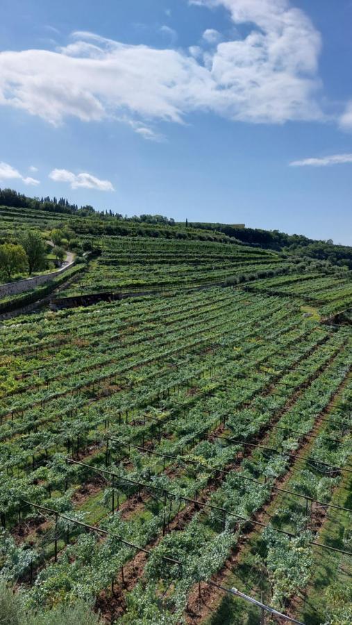 Azienda Agrituristica Corteforte Fumane Bagian luar foto