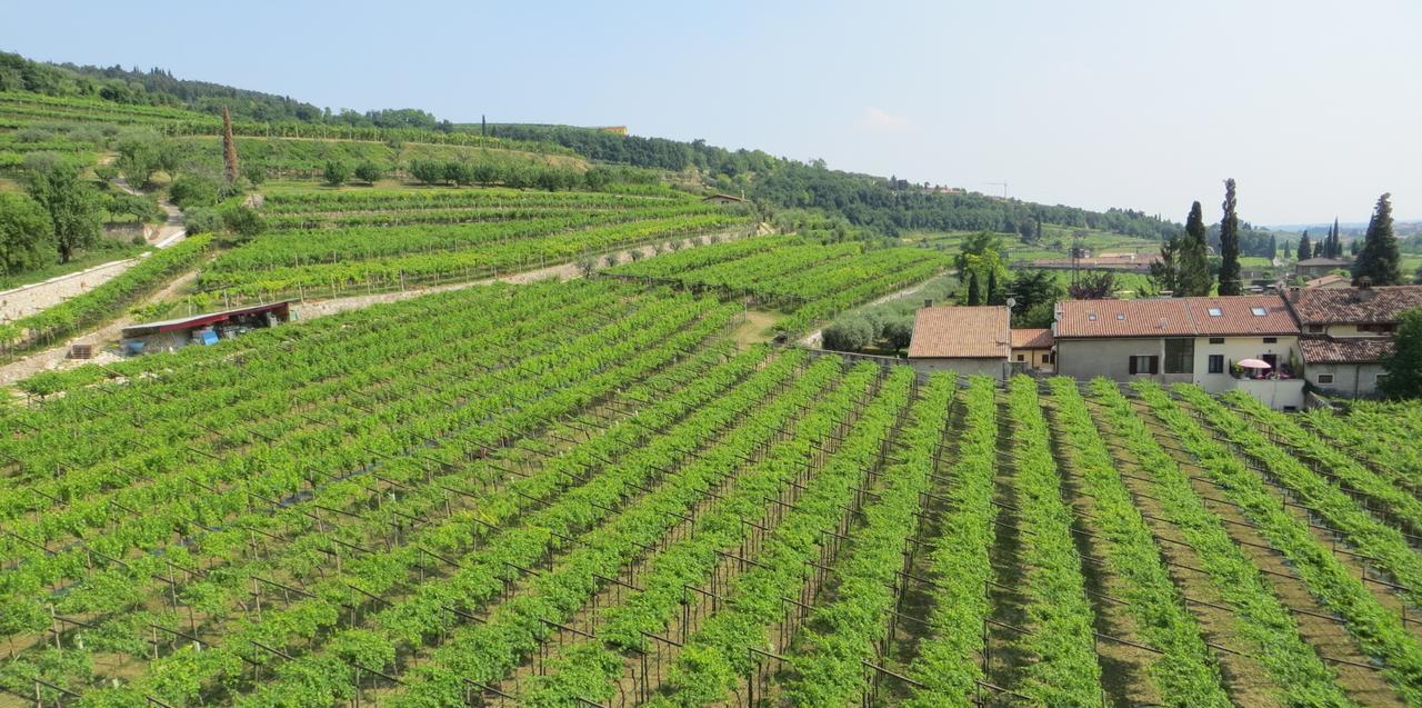 Azienda Agrituristica Corteforte Fumane Bagian luar foto